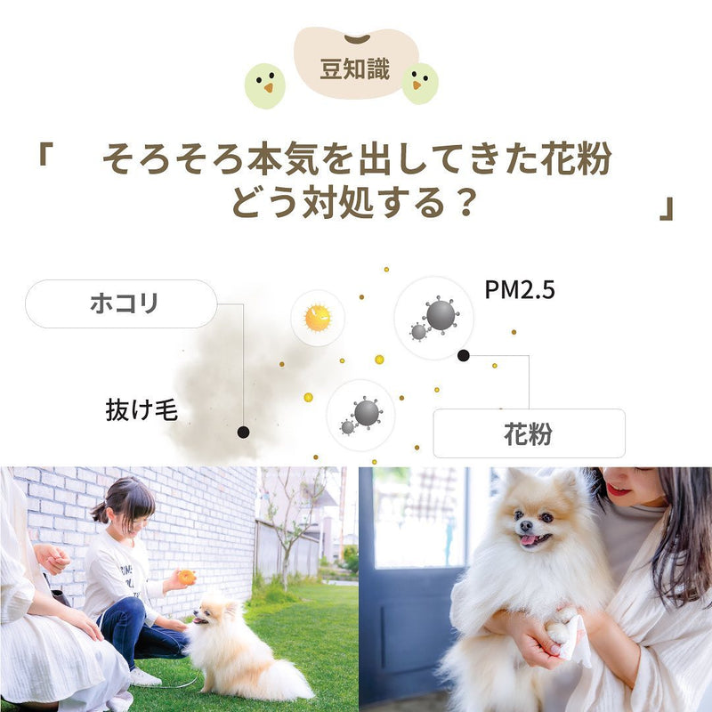 【豆知識】そろそろ本気を出してきた花粉、どう対処する？