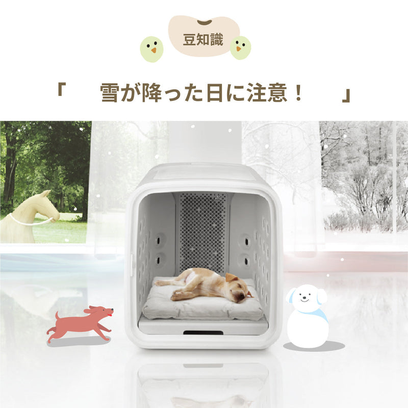 【豆知識】雪が降った日に注意!