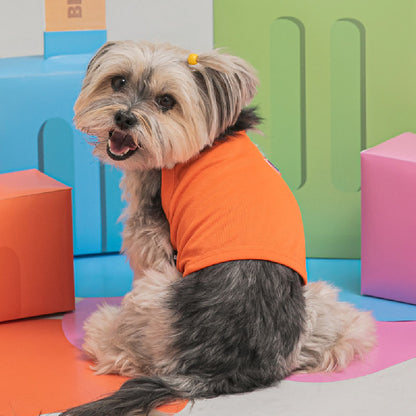 ［冷感 UV 速乾］犬 ペット ひんやりTシャツ おでかけ お散歩
