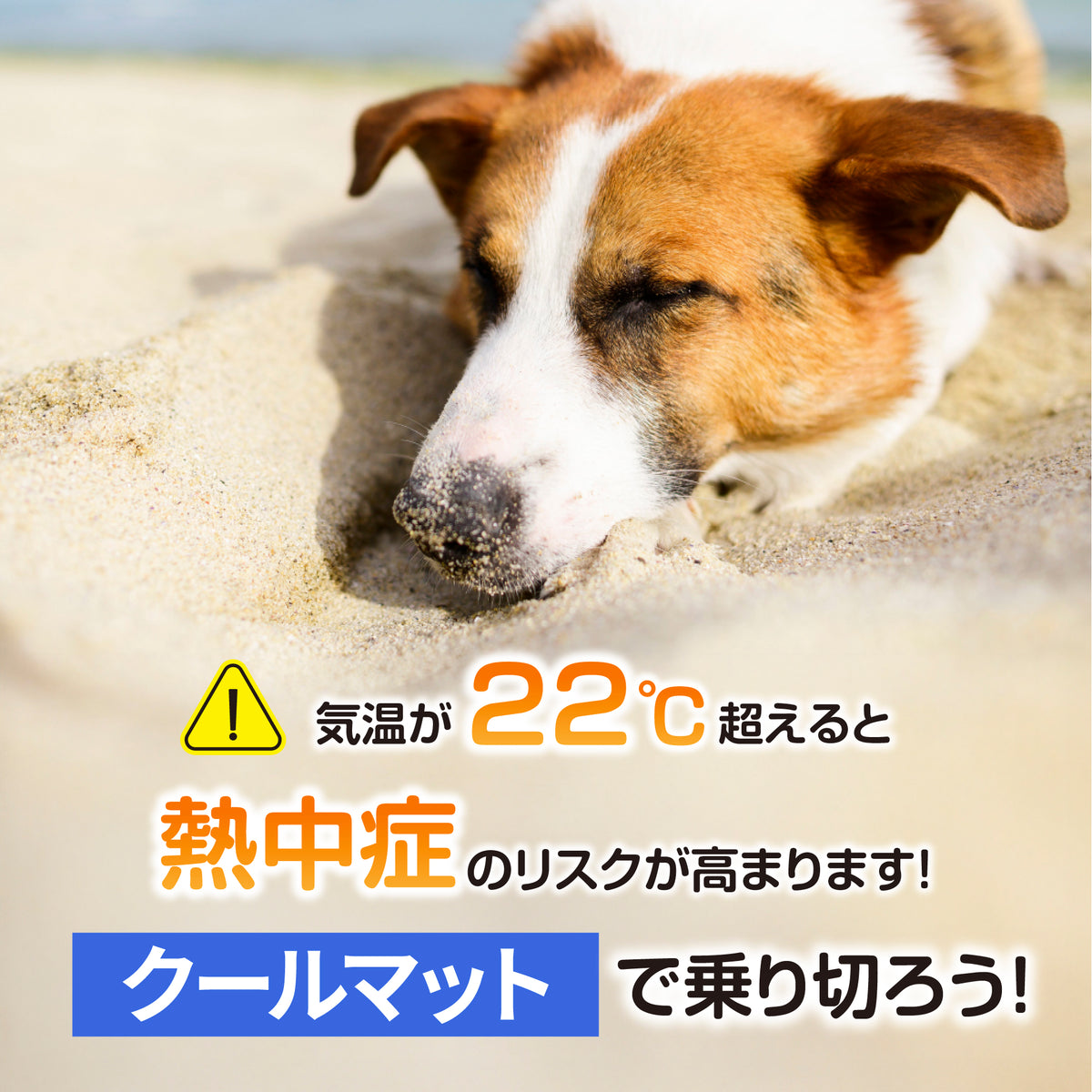 HaruPetクールマット  ジェルマット ペット用 ひんやり 冷却マット 冷感マット 接触冷感 犬猫 夏用 暑さ対策 熱中症対策 軽量 快適 洗える 簡単掃除 多用途 セレクト