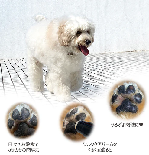 TEGSUMI シャンプー & バーム セット プレゼントに最適 シャンプー バーム