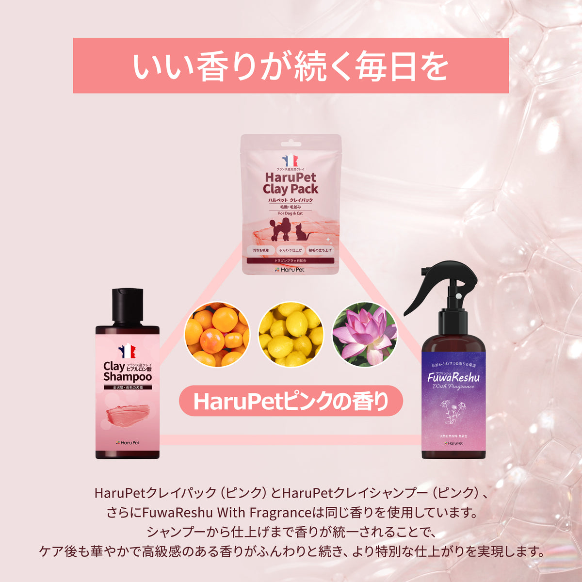 HaruPet クレイパック 天然泥パック すっきり 保湿 ニオイ軽減 オーガニック トリミングサロン 50g / 1kg