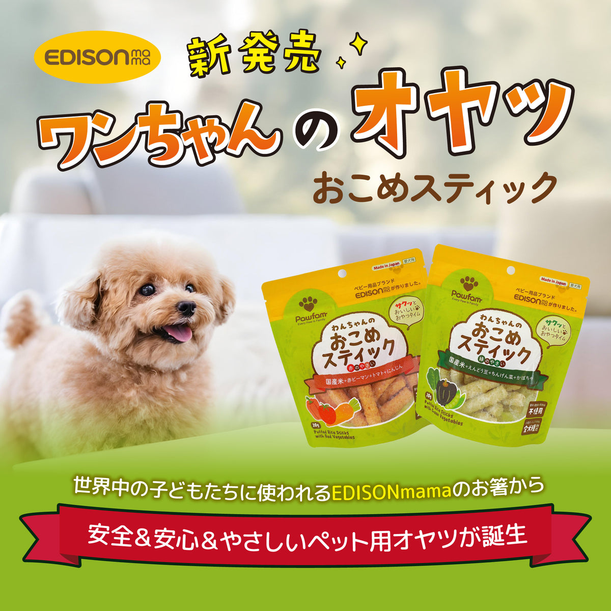 Pawfam 犬用おやつ 3個セット おこめスティック 低アレルギー 低カロリー 無添加 無着色 柔らか食感 100%天然 国産原材料